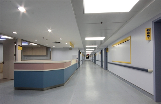 醫用扶手 醫用扶手