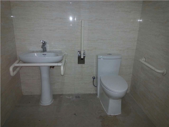 醫院衛生間扶手 醫院衛生間扶手