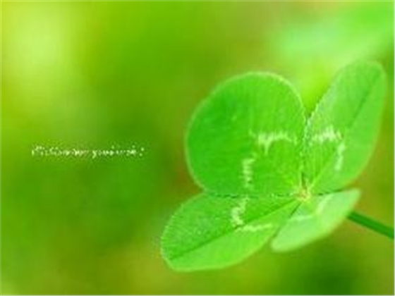 u=2436268113,352052534&fm=21&gp=0.jpg u=2436268113,352052534&fm=21&gp=0.jpg