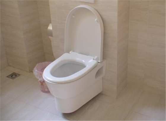 馬桶1.jpg 馬桶1.jpg