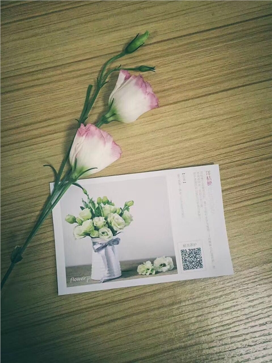 72187262498599242.jpg 72187262498599242.jpg