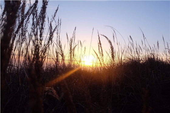 微信圖片_20171211102015.jpg 微信圖片_20171211102015.jpg