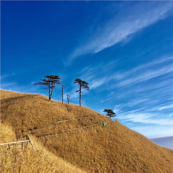 微信圖片_20171211102010.jpg 微信圖片_20171211102010.jpg