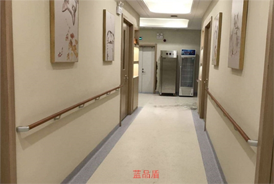 老人無障礙通道扶手 老人無障礙通道扶手