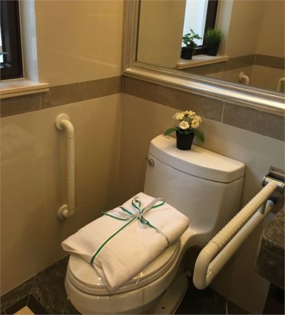 藍品盾衛生間殘疾人扶手 藍品盾衛生間殘疾人扶手