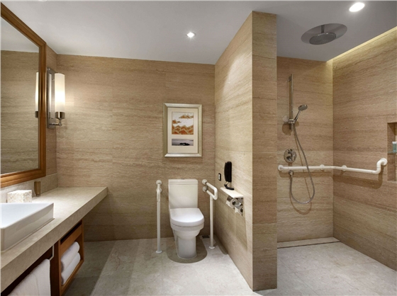 酒店無障礙房衛生間扶手.jpg 酒店無障礙房衛生間扶手.jpg