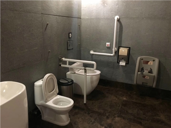 殘疾衛生間扶手.jpg 殘疾衛生間扶手.jpg