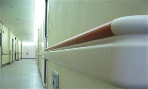 走廊無障礙扶手 走廊無障礙扶手