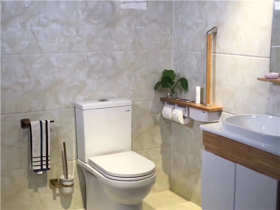 衛(wèi)生間無障礙扶手 衛(wèi)生間無障礙扶手