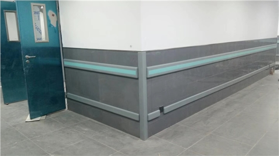 醫(yī)院大門(mén)防撞帶 醫(yī)院大門(mén)防撞帶