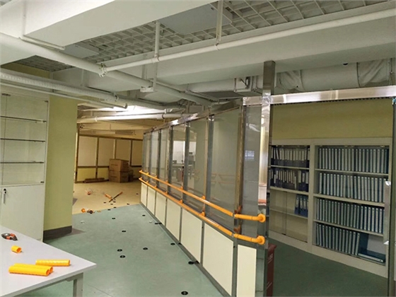醫用巷道扶手 醫用巷道扶手