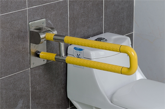 殘疾人的扶手 殘疾人的扶手