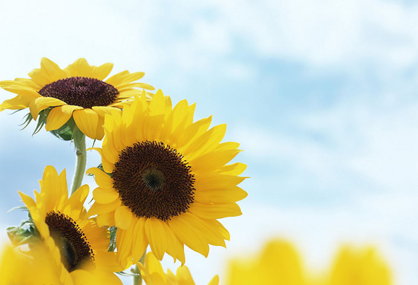 587500_153004057_2.jpg 587500_153004057_2.jpg