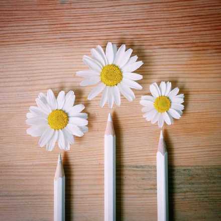 3bc95f2fjw1f3aypxsxdqj20c80c8t8z.jpg 3bc95f2fjw1f3aypxsxdqj20c80c8t8z.jpg