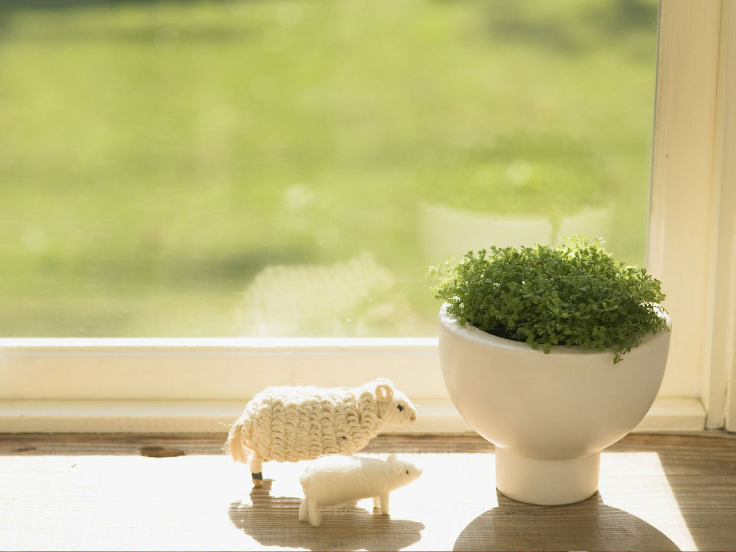 43-13112Q036110-50.jpg 43-13112Q036110-50.jpg