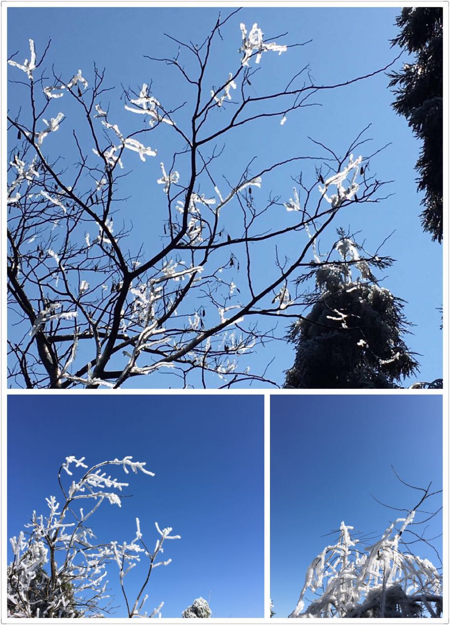 305550783116147758.jpg 305550783116147758.jpg