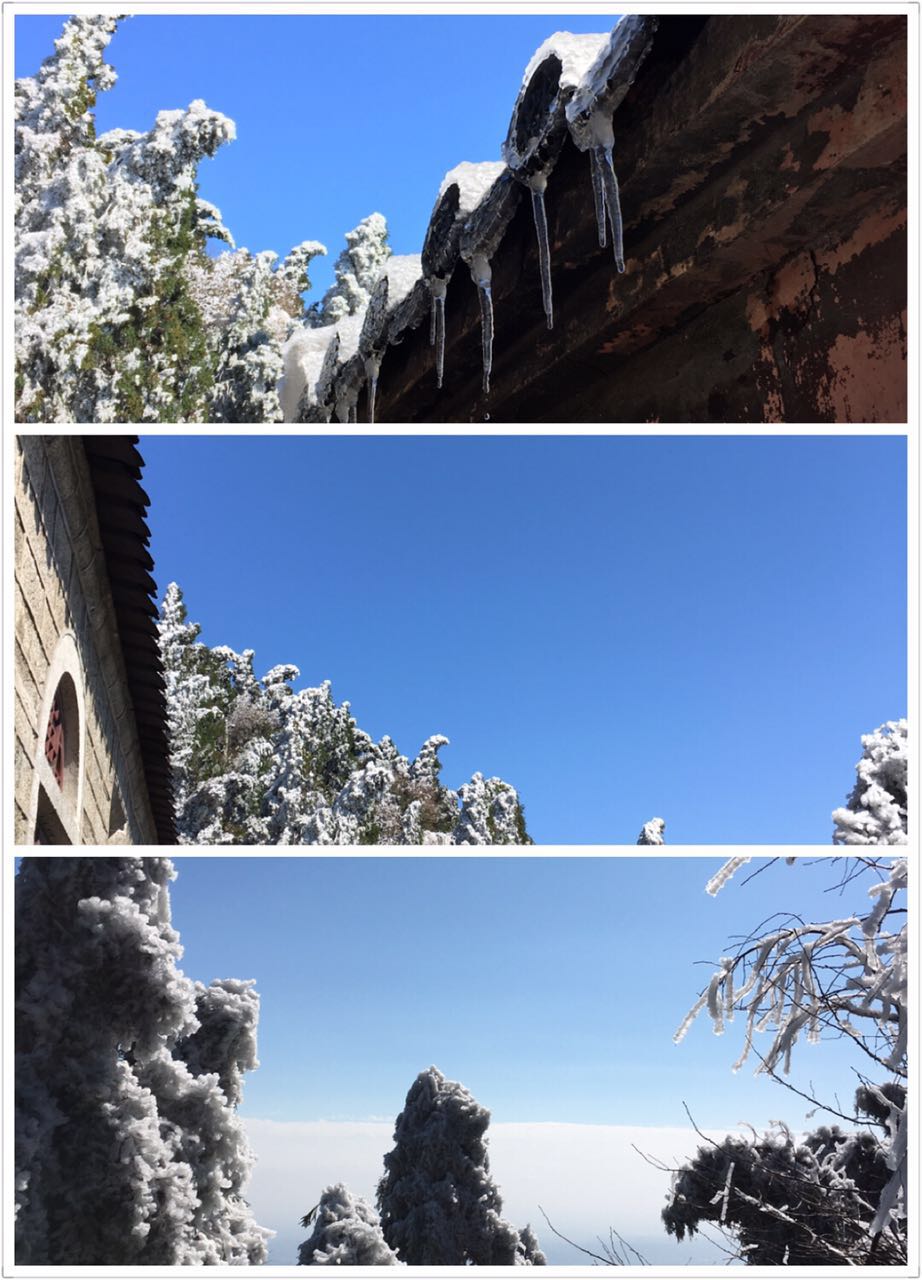 732328173677926934.jpg 732328173677926934.jpg