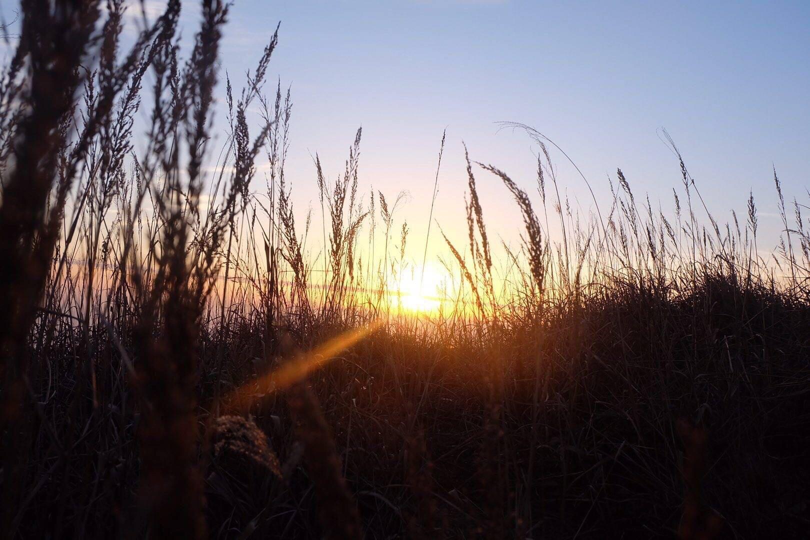 微信圖片_20171211102015.jpg 微信圖片_20171211102015.jpg