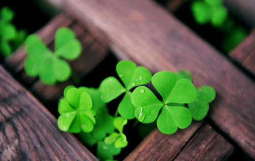 20140627123731_VP5kN.jpeg 20140627123731_VP5kN.jpeg