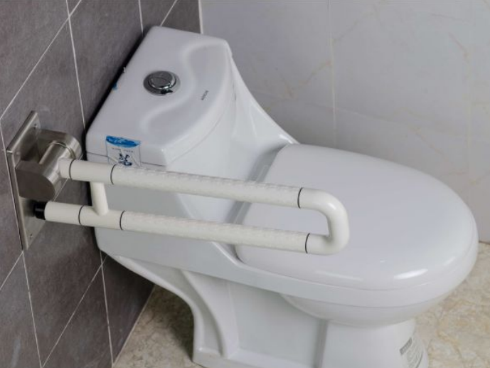 殘疾人用的扶手 殘疾人用的扶手