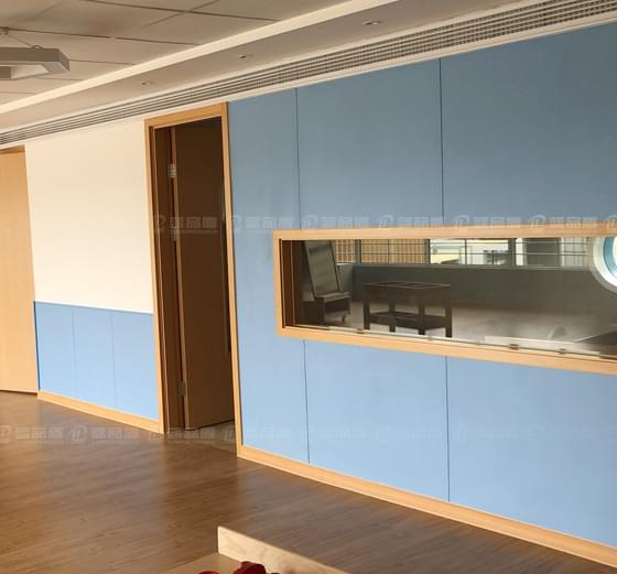 藍(lán)品盾醫(yī)用防撞樹(shù)脂板PT-SZB-01款 藍(lán)品盾醫(yī)用防撞樹(shù)脂板PT-SZB-01款